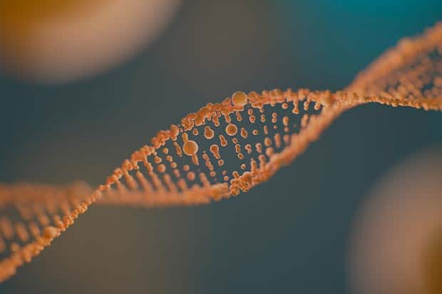 dna